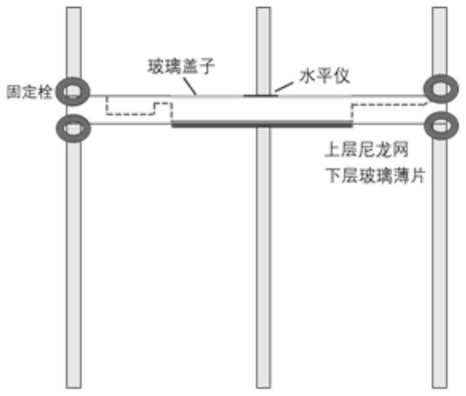 Experimental equipment for placing brain slice