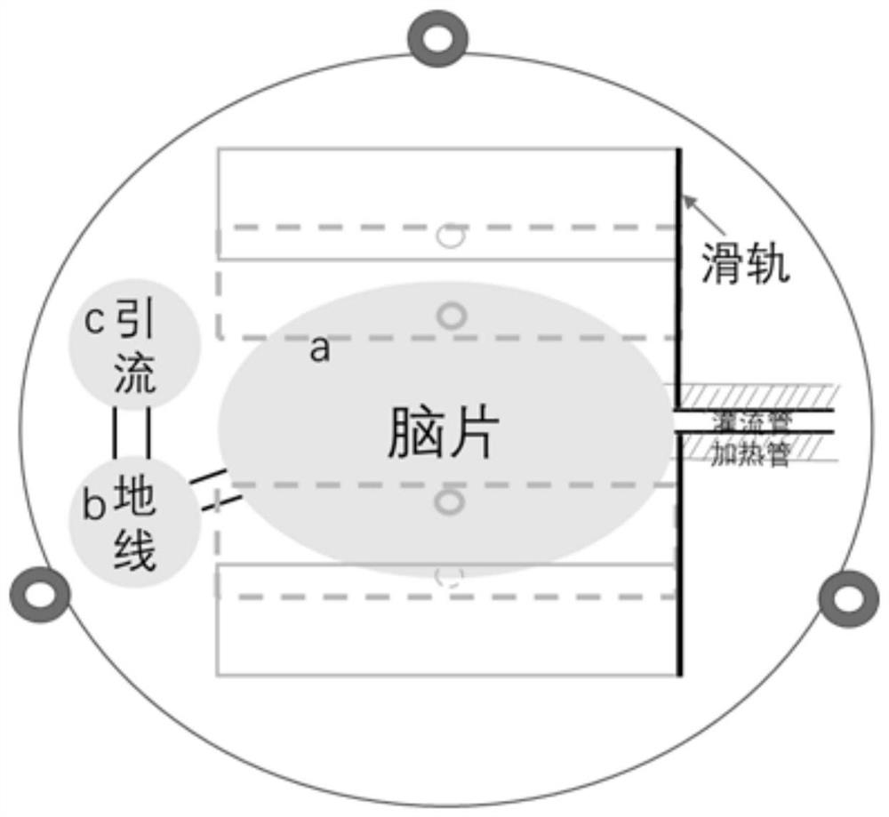 Experimental equipment for placing brain slice