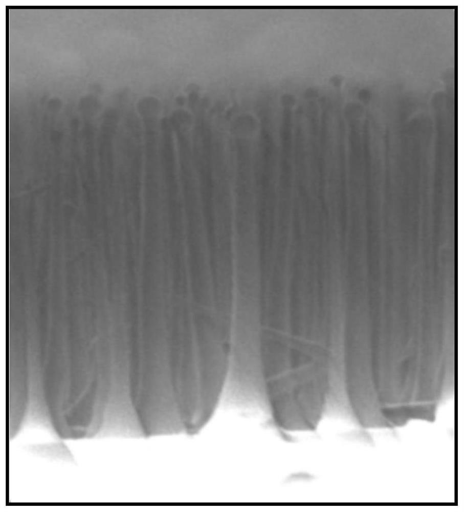 Epitaxy method of vertical [beta]-gallium oxide nanowire array