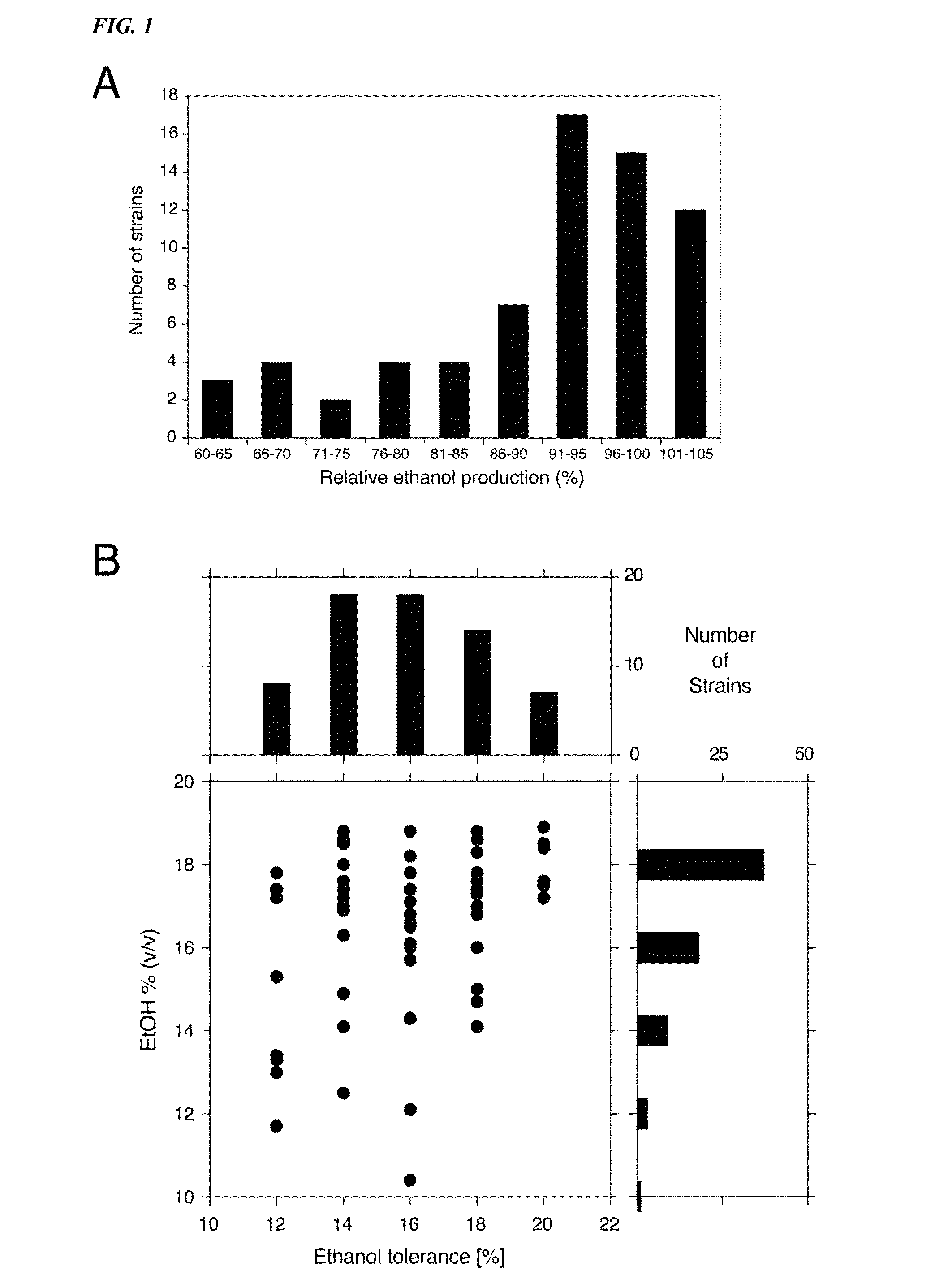 Yeast alleles involved in maximal alcohol accumulation capacity and tolerance to high alcohol levels