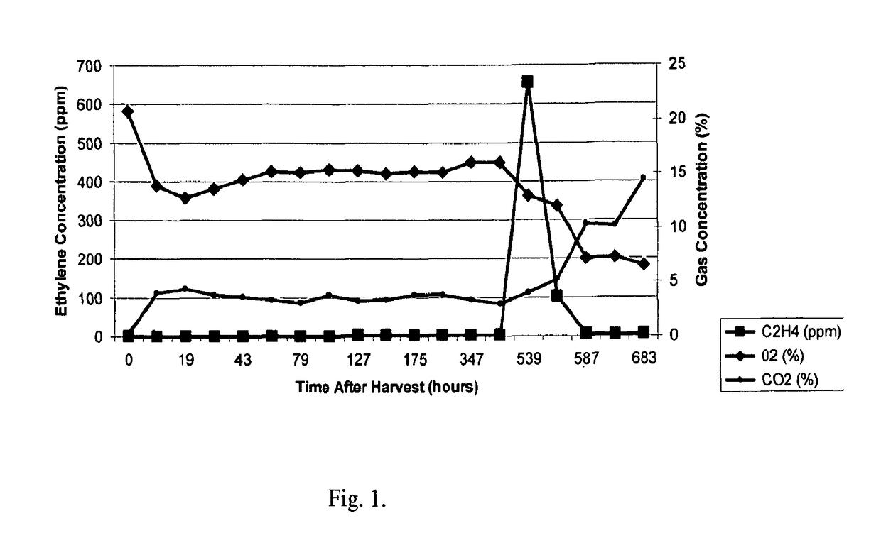 Method for controlling banana and plantain quality by packaging