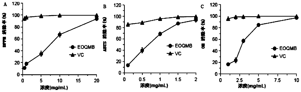 Extraction method of oak bark volatile oil as well as detection method and application of oak bark volatile oil