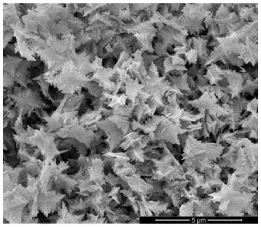Preparation method of star-shaped bismuth vanadate/boron alkene composite material