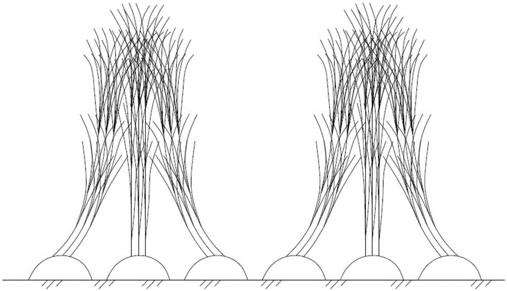 Sugarcane face-to-face inclination lodging-resistant planting method