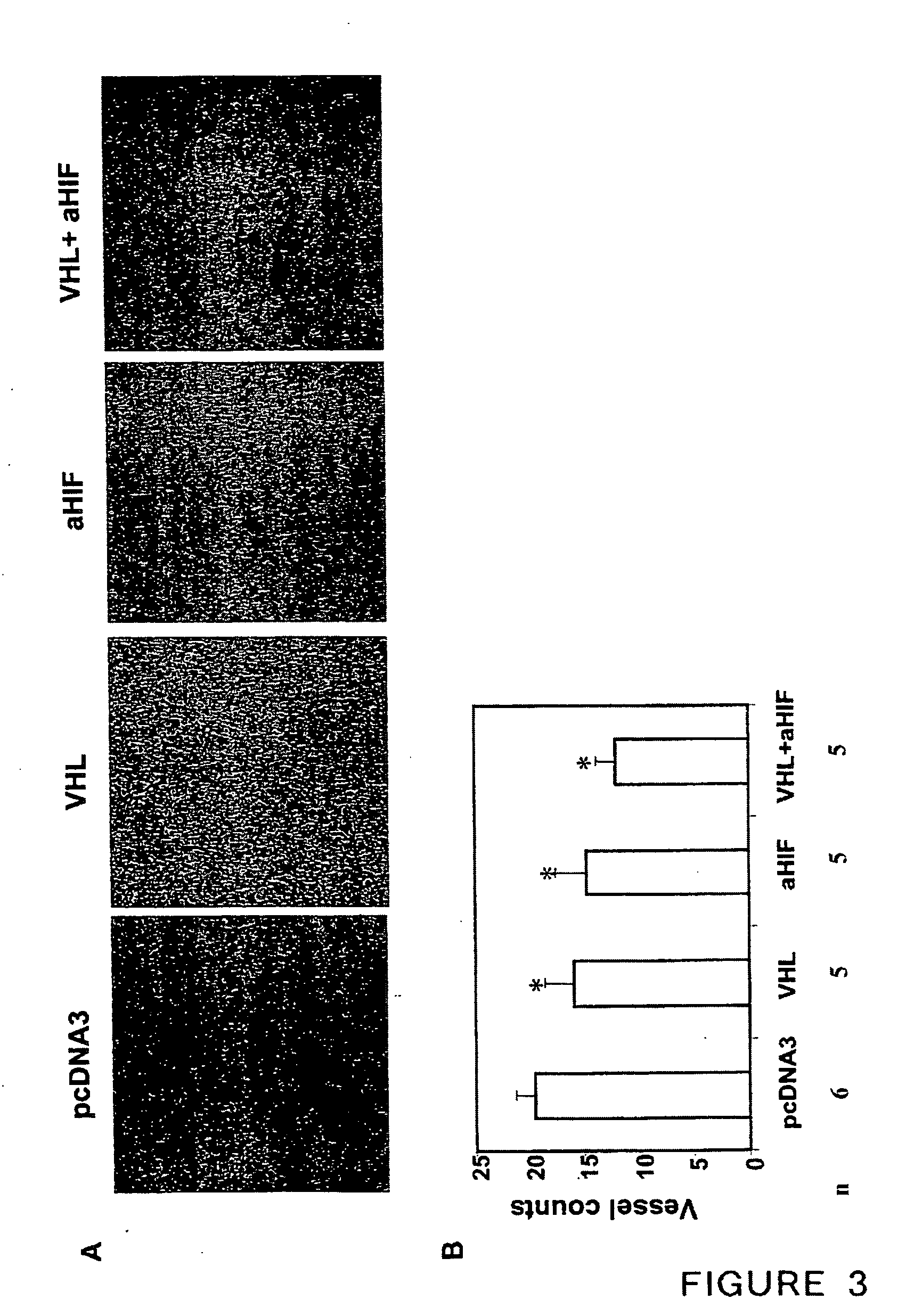 Tumor treating combinations, compositions and methods