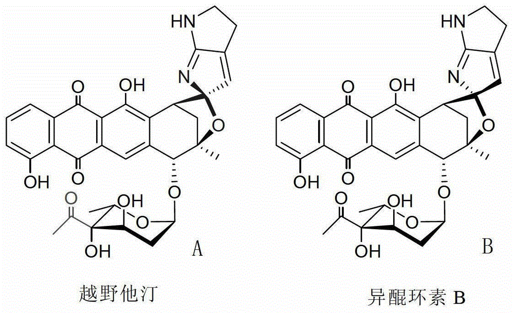 Biosynthetic gene clusters of off-road statins and their applications