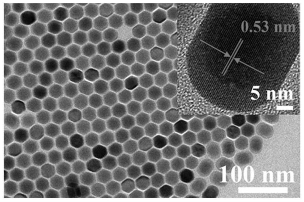 A fluorescent hydrogel and its application in the detection of carbaryl