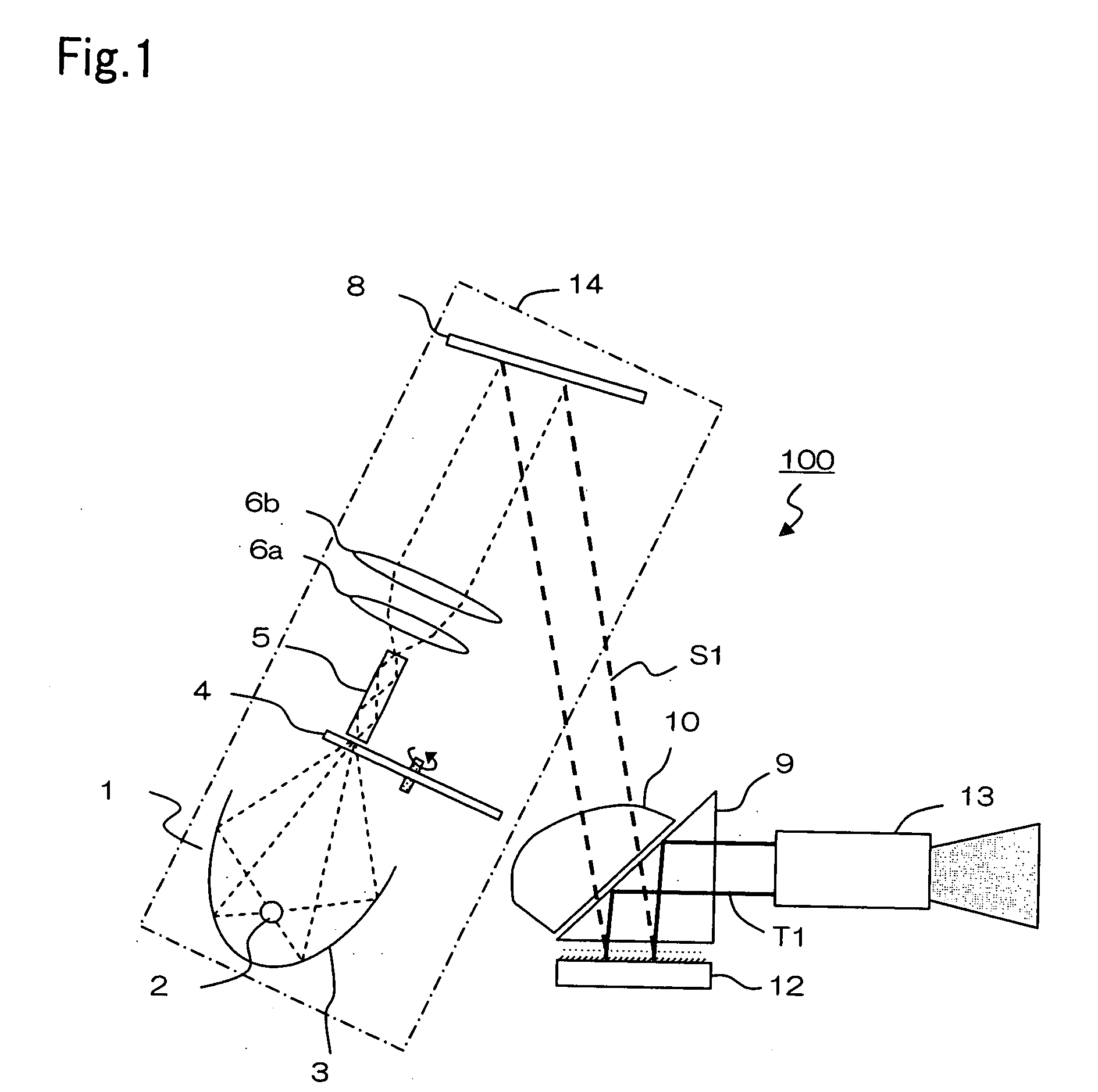 TIR PRISM for a projection display apparatus having a partially masked surface