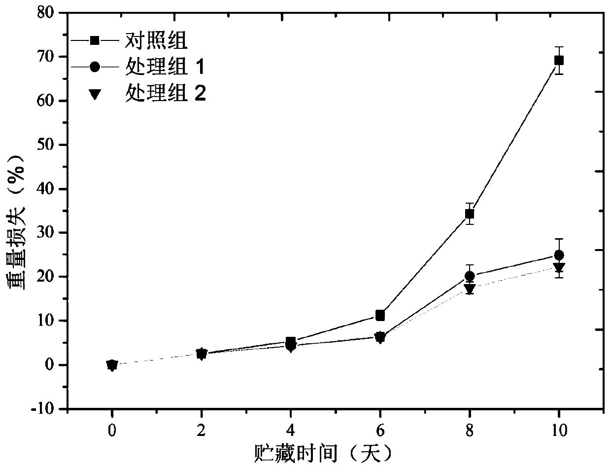 Preparation method and purpose of chitosan-Zn compound nano-particle preservative film