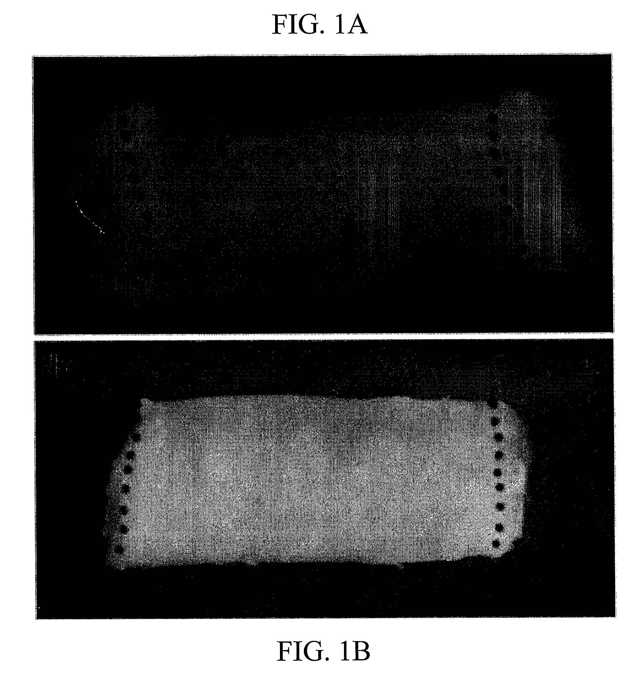 Anti-Connexin Compounds and Uses Thereof