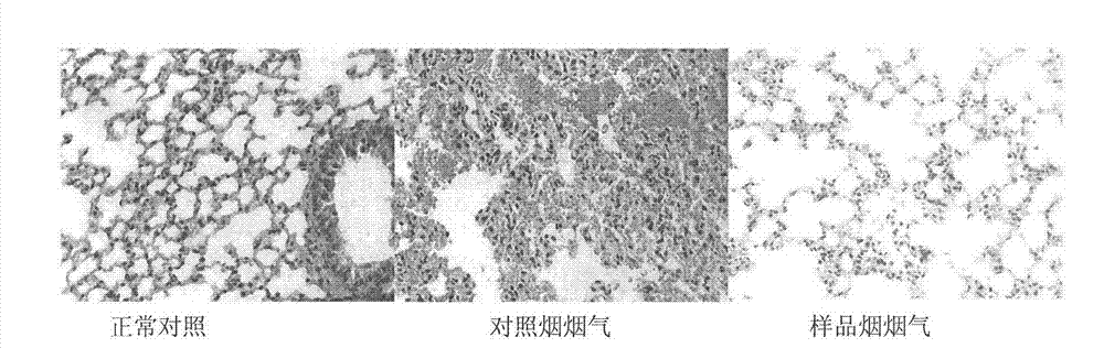 Harm reducing natural plant additive for cigarettes, and preparation method and application thereof