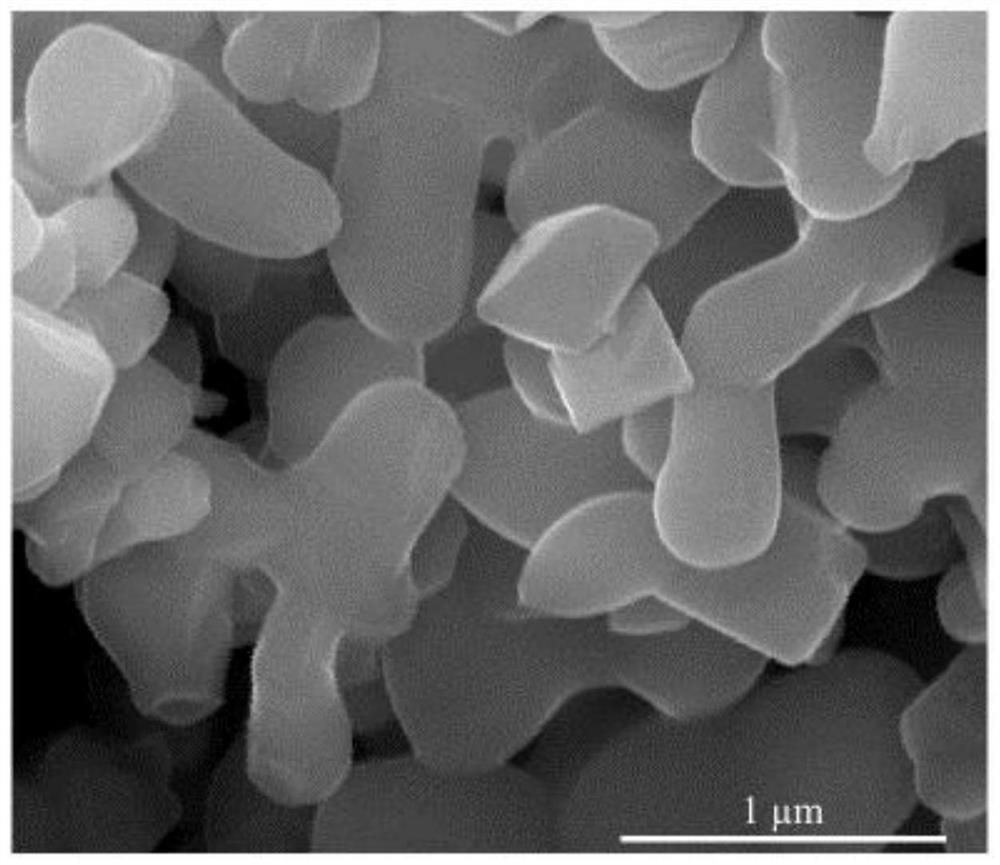 A kind of modified lithium titanate electrode material and preparation method thereof