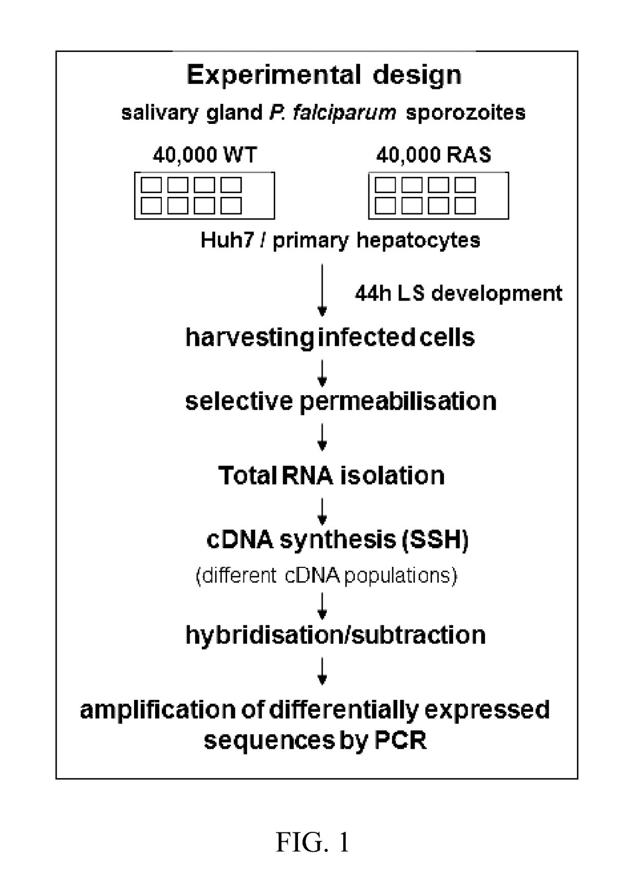 Malaria Vaccines Based on Pre-Erythrocytic Antigens From P. Falciparum