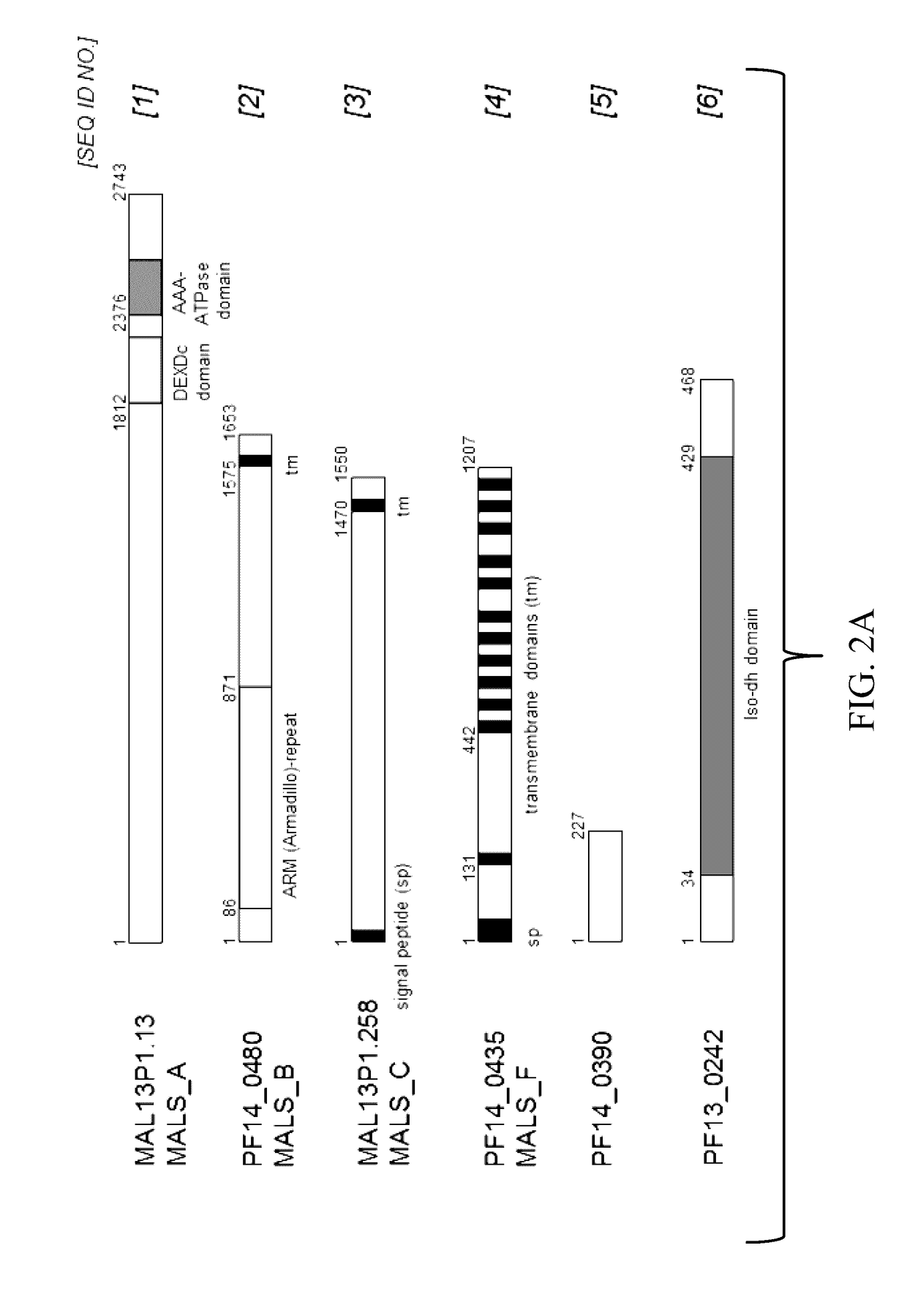 Malaria Vaccines Based on Pre-Erythrocytic Antigens From P. Falciparum