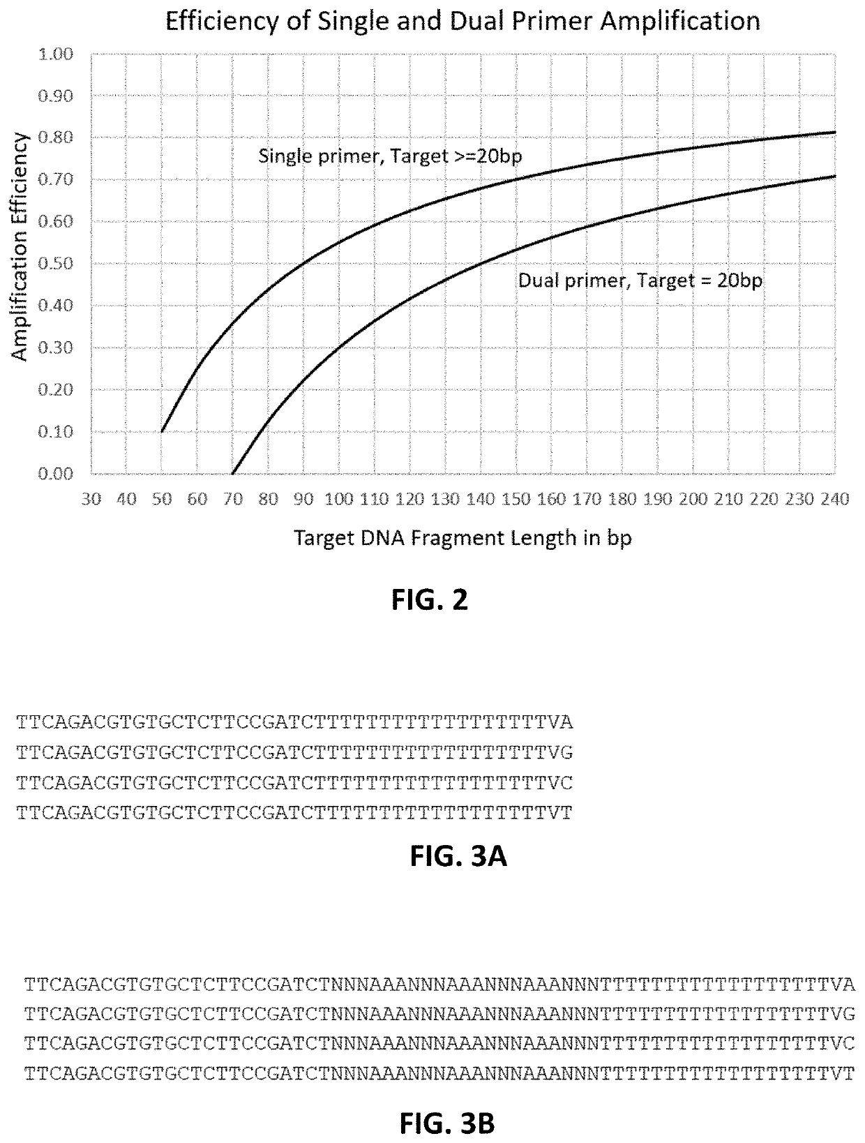 Methods and compositions for amplifying short DNA fragments