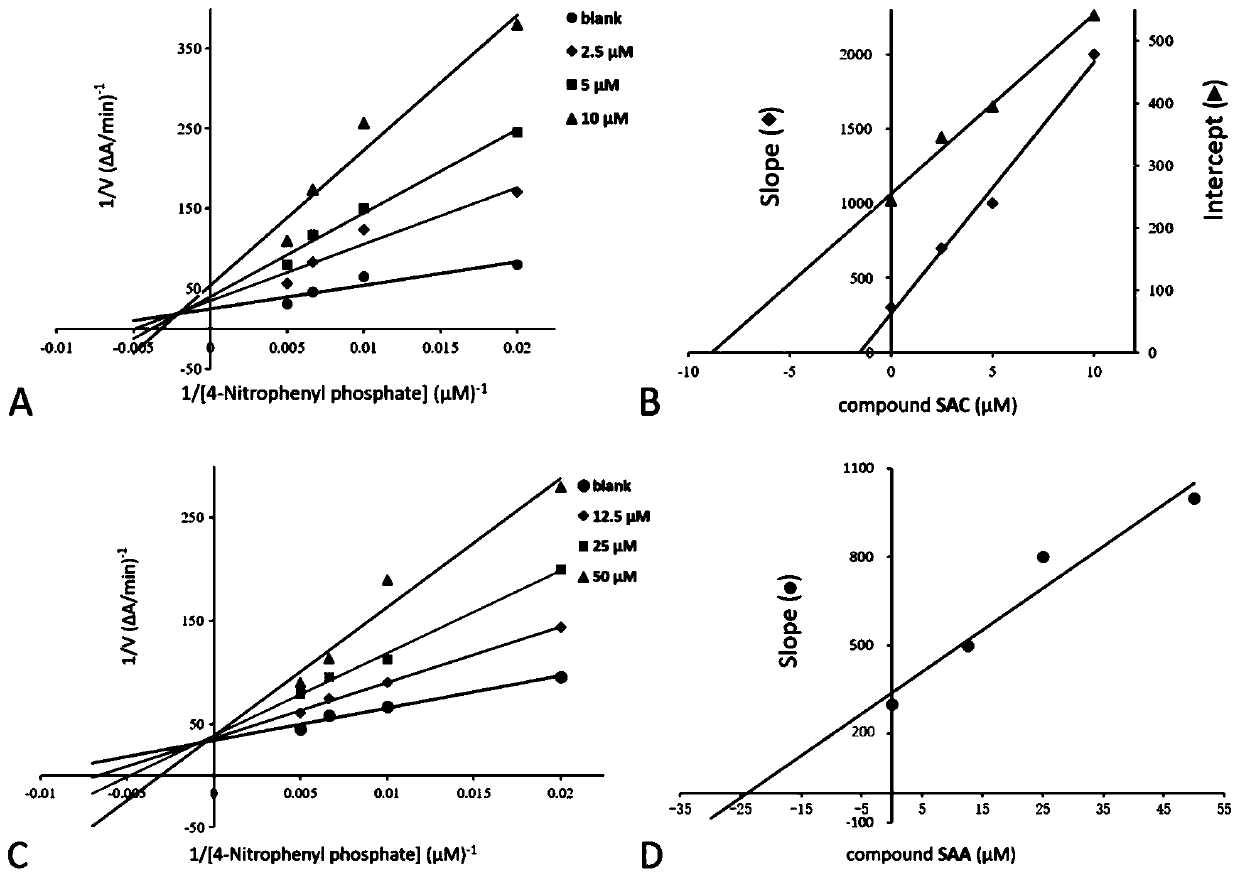 Application of salvia miltiorrhiza extracts in preparing protein tyrosine phosphatase 1B inhibitor and drug for preventing and/or treating type 2 diabetes