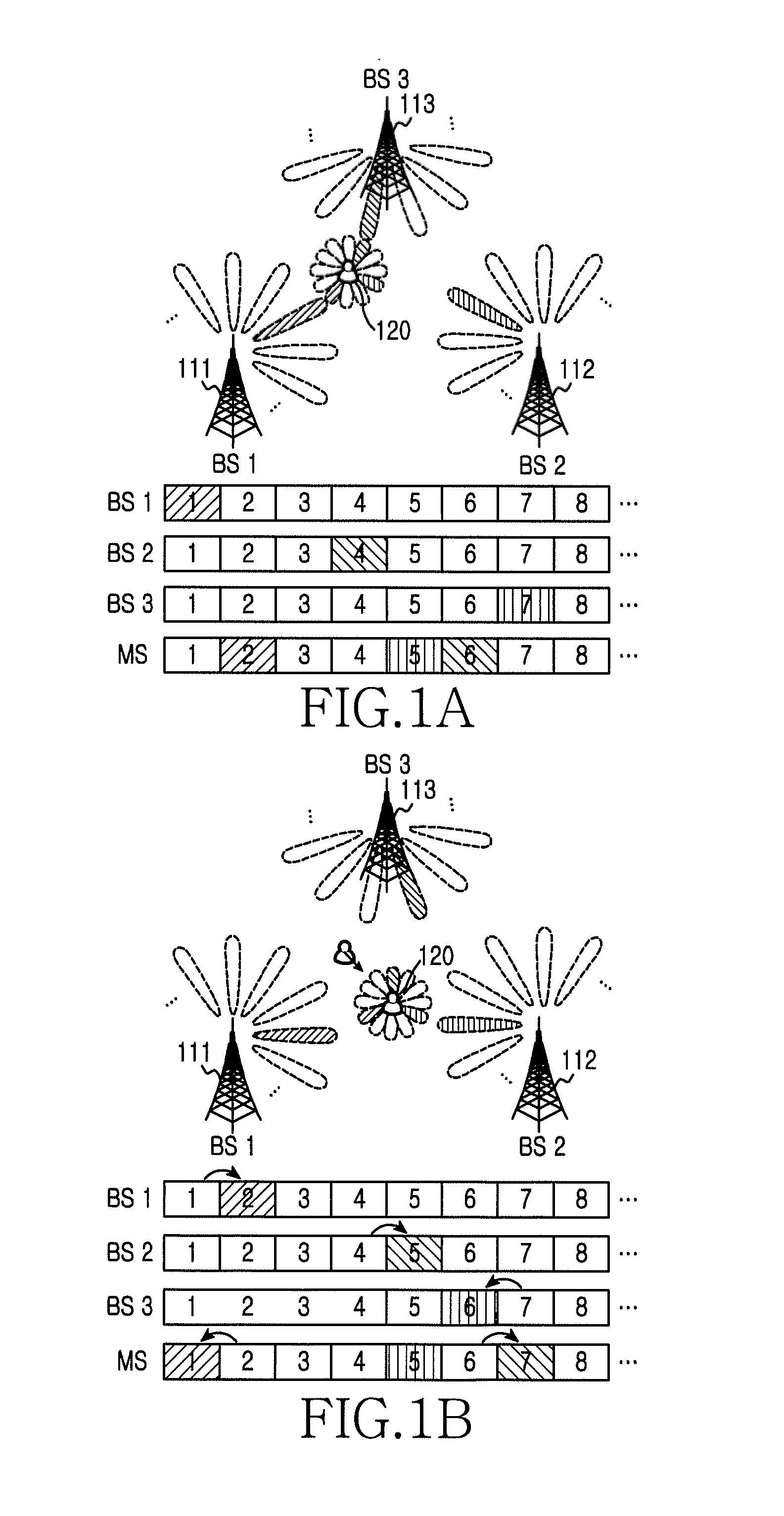 Apparatus and method for determining beam in wireless communication system