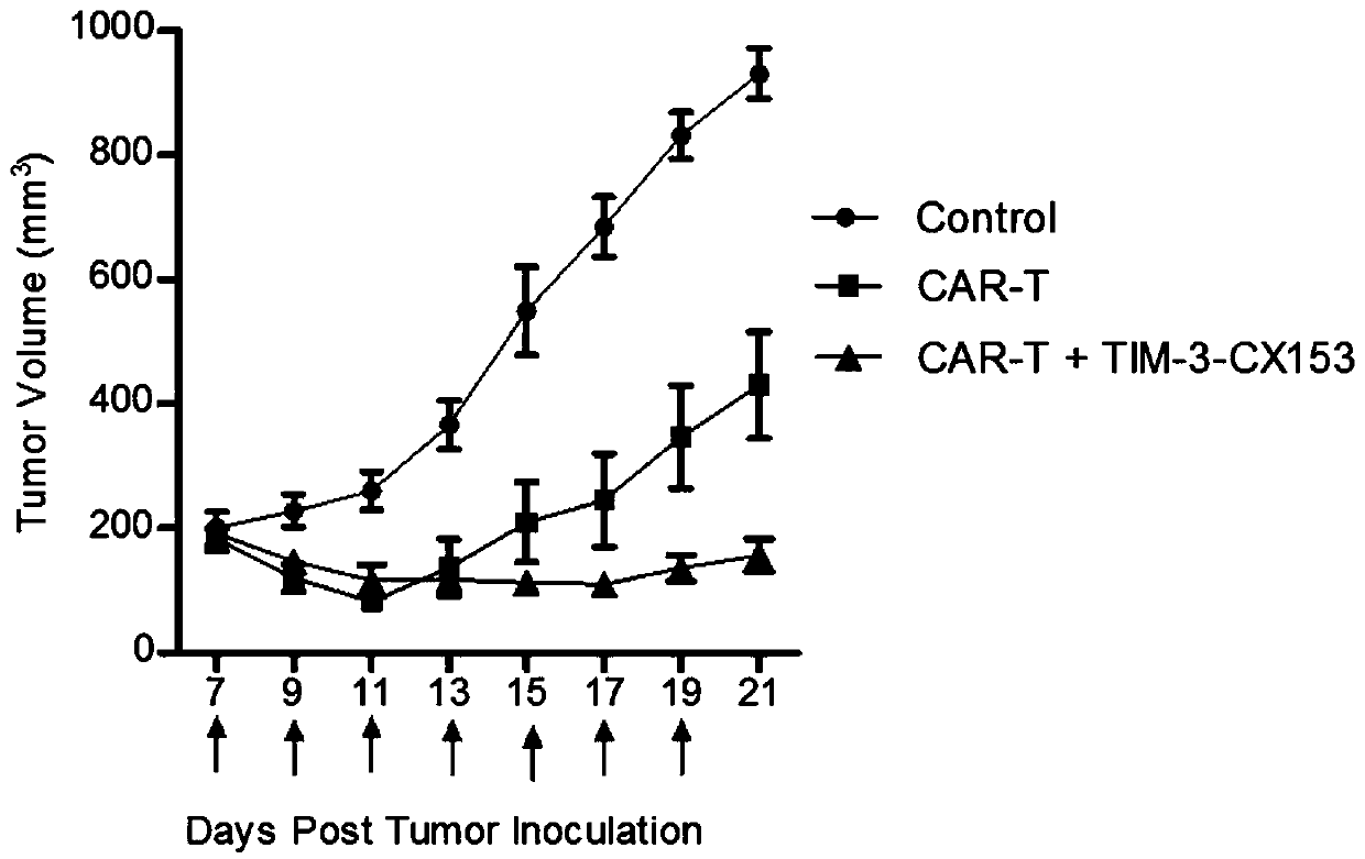 TIM-3 single-domain antibody and application thereof