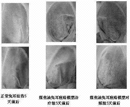 Traditional Chinese medicine compound preparation for treating acne and seborrheic dermatitis, and preparation method and application of the compound preparation