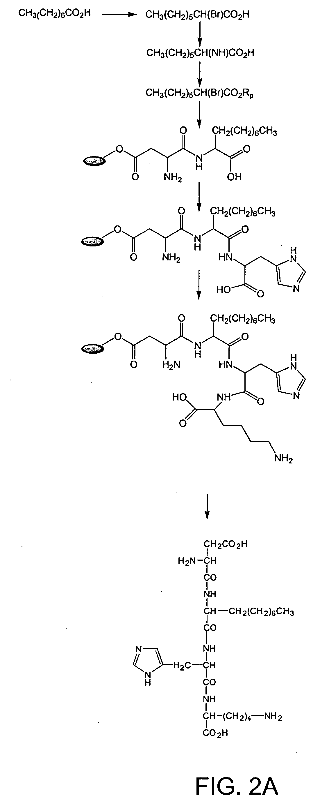 Metal-binding compounds and uses therefor