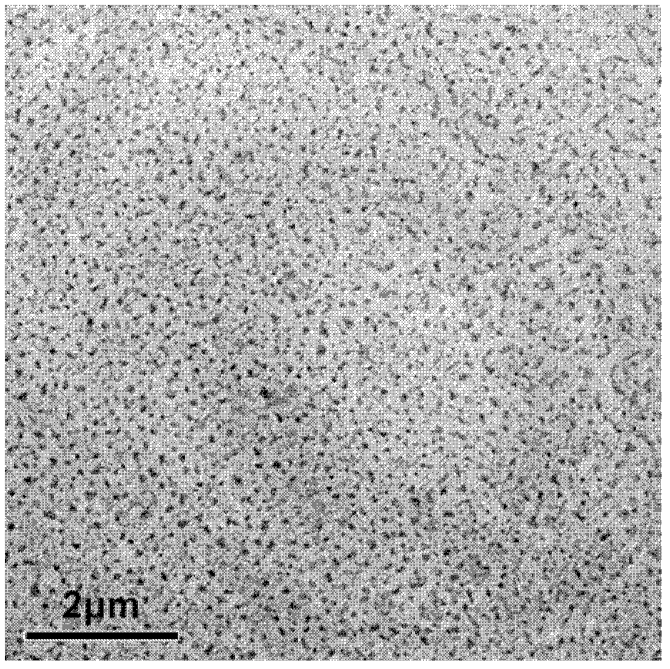 Drug-loaded liposome overcoming tumor drug resistance, preparation method and application thereof