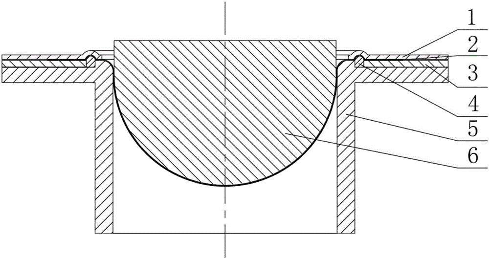 Sealing head forming mold with replaceable draw beads