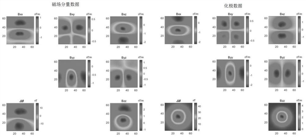 A PDE-based Equivalent Source and Type Conversion Method for Magnetic Measurement Data