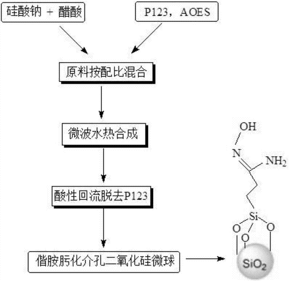 Amidoximated mesoporous silica microsphere adsorbent and preparation method thereof