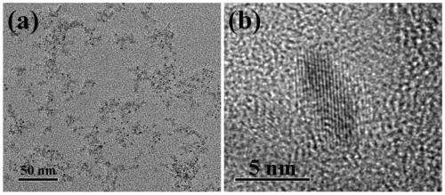 A zwitterion-modified multifunctional mn  <sub>3</sub> o  <sub>4</sub> Nanoparticle Magnetic Resonance Imaging Contrast Agent and Its Preparation and Application