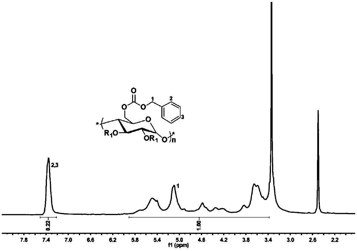 Method for preparing starch carbonic ester by utilizing starch/CO2 and application of starch carbonic ester