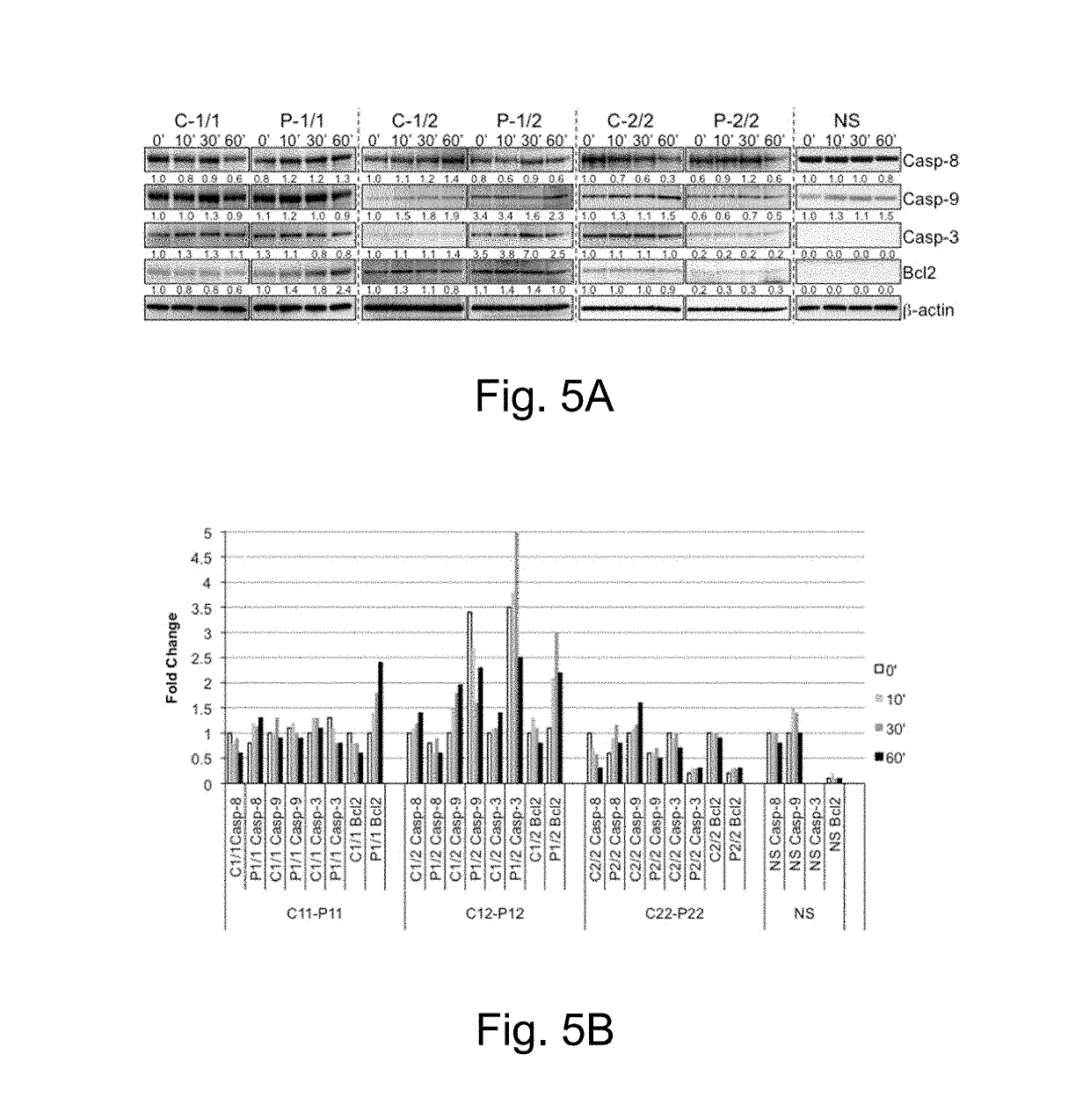 Methods of treating autoimmune conditions in patients with genetic variations in DcR3 or in a DcR3 network gene