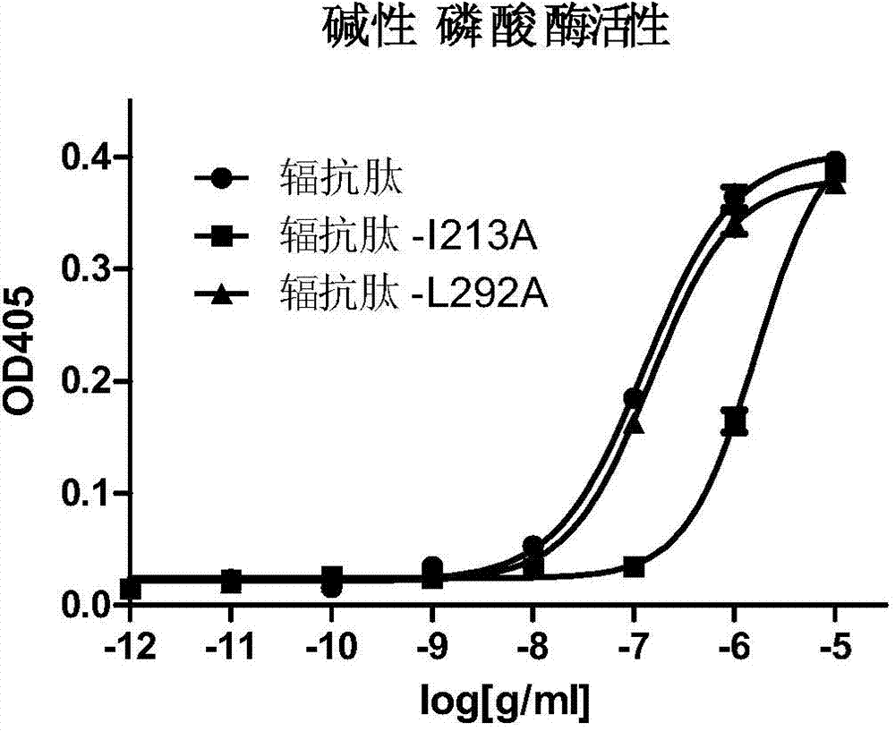 Radiation-resistant peptide mutant protein and application of mutant protein in reducing inflammatory response
