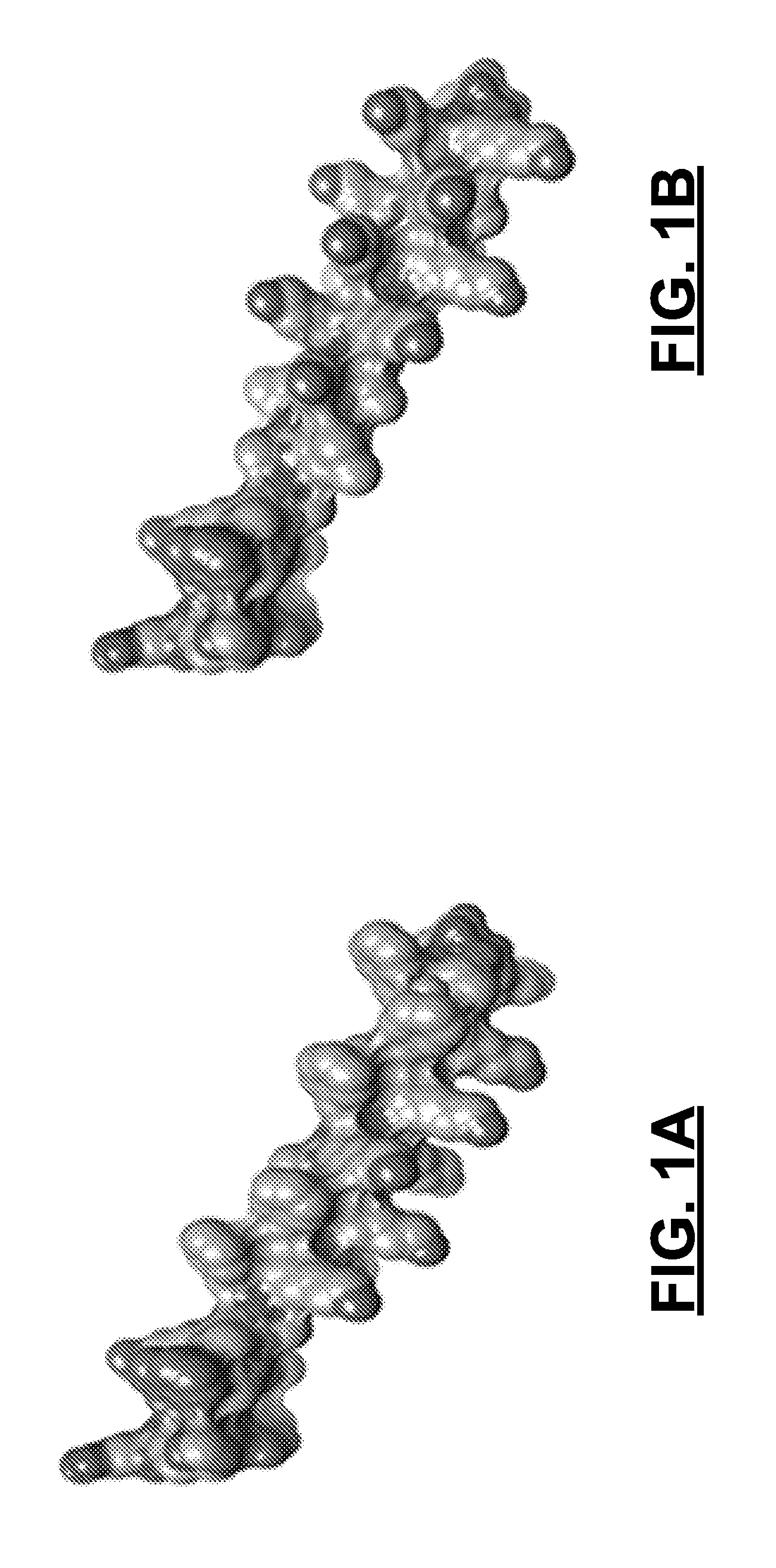 Lytic peptides having Anti-proliferative activity against prostate cancer cells