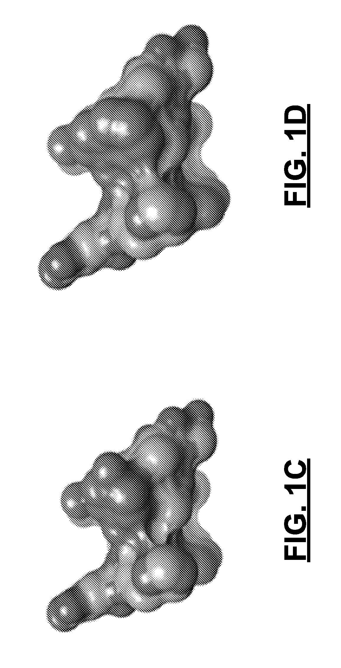 Lytic peptides having Anti-proliferative activity against prostate cancer cells