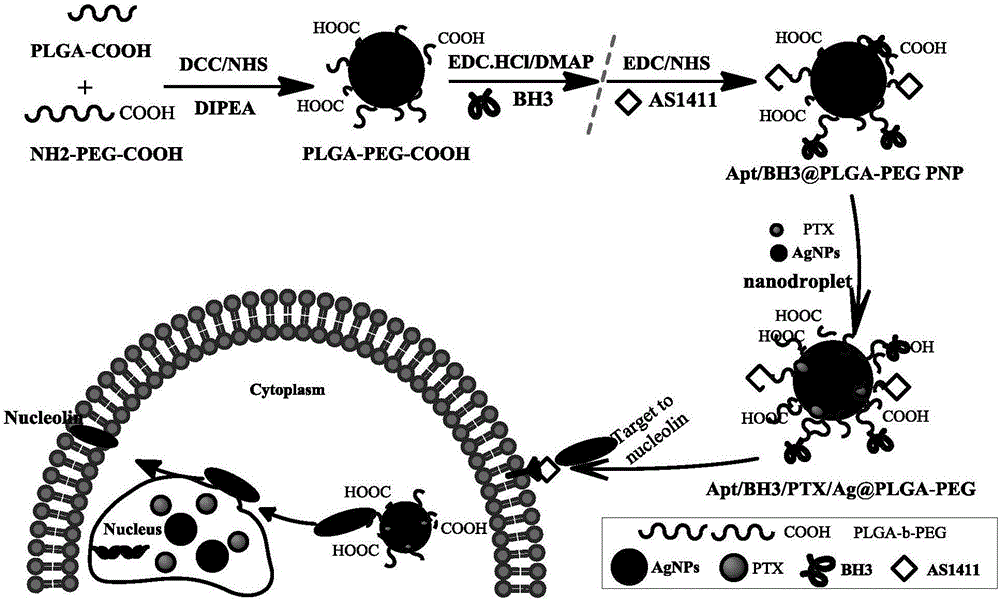 Target delivery system based on bio-functionalized nano-silver loaded taxol or analogue thereof