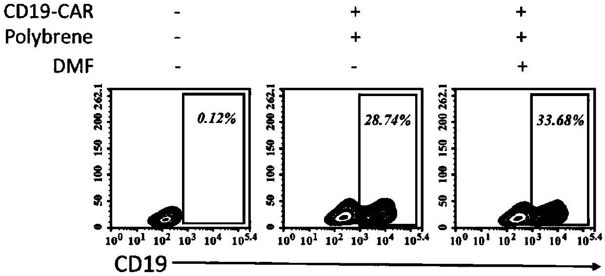 Novel method for enhancing efficiency of human T cells infected by slow-viruses carrying CAR (chimeric antigene receptor) genes