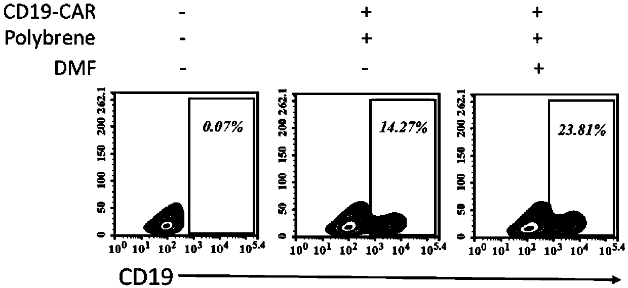 Novel method for enhancing efficiency of human T cells infected by slow-viruses carrying CAR (chimeric antigene receptor) genes