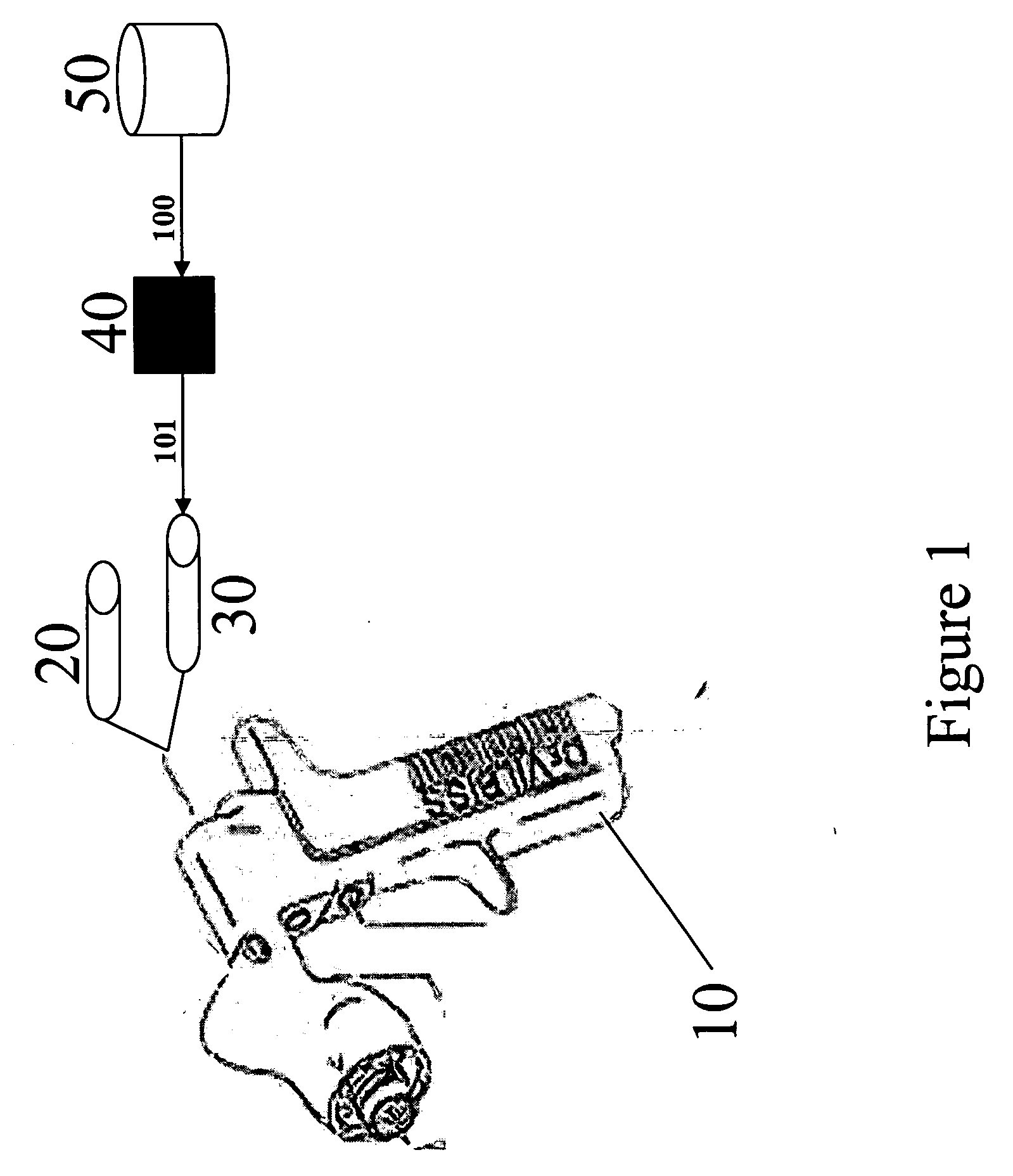 Polysaccharide based hydrophilic coatings