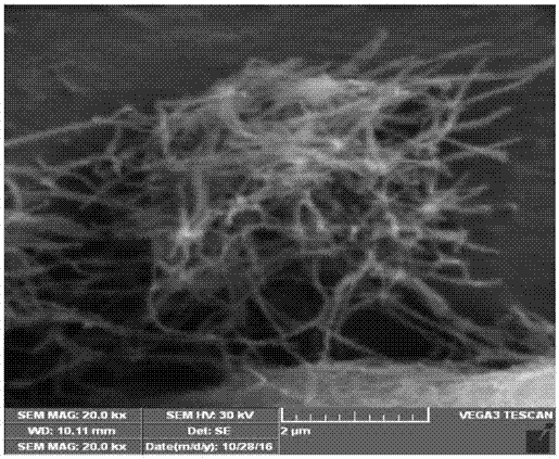 Preparation method of aqueous polyurethane/fluorinated phosphazene nano fiber composite material