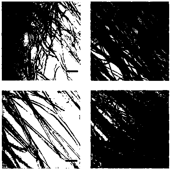 Preparation method of ordered nano fiber-based flexible graphene film by induction of capillary action