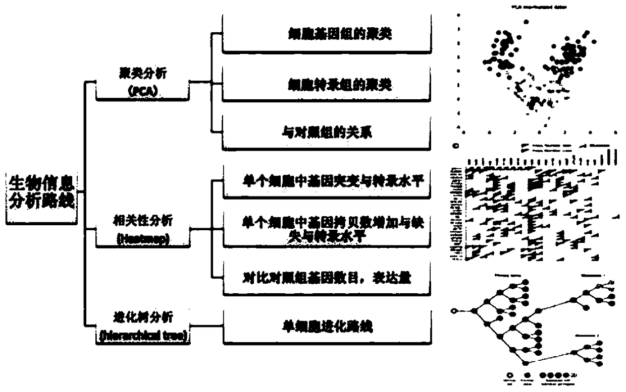 Simultaneous single-cell genome and transcriptome library construction and sequencing methods Sequencing methods and applications based on single-cell integrative genomics