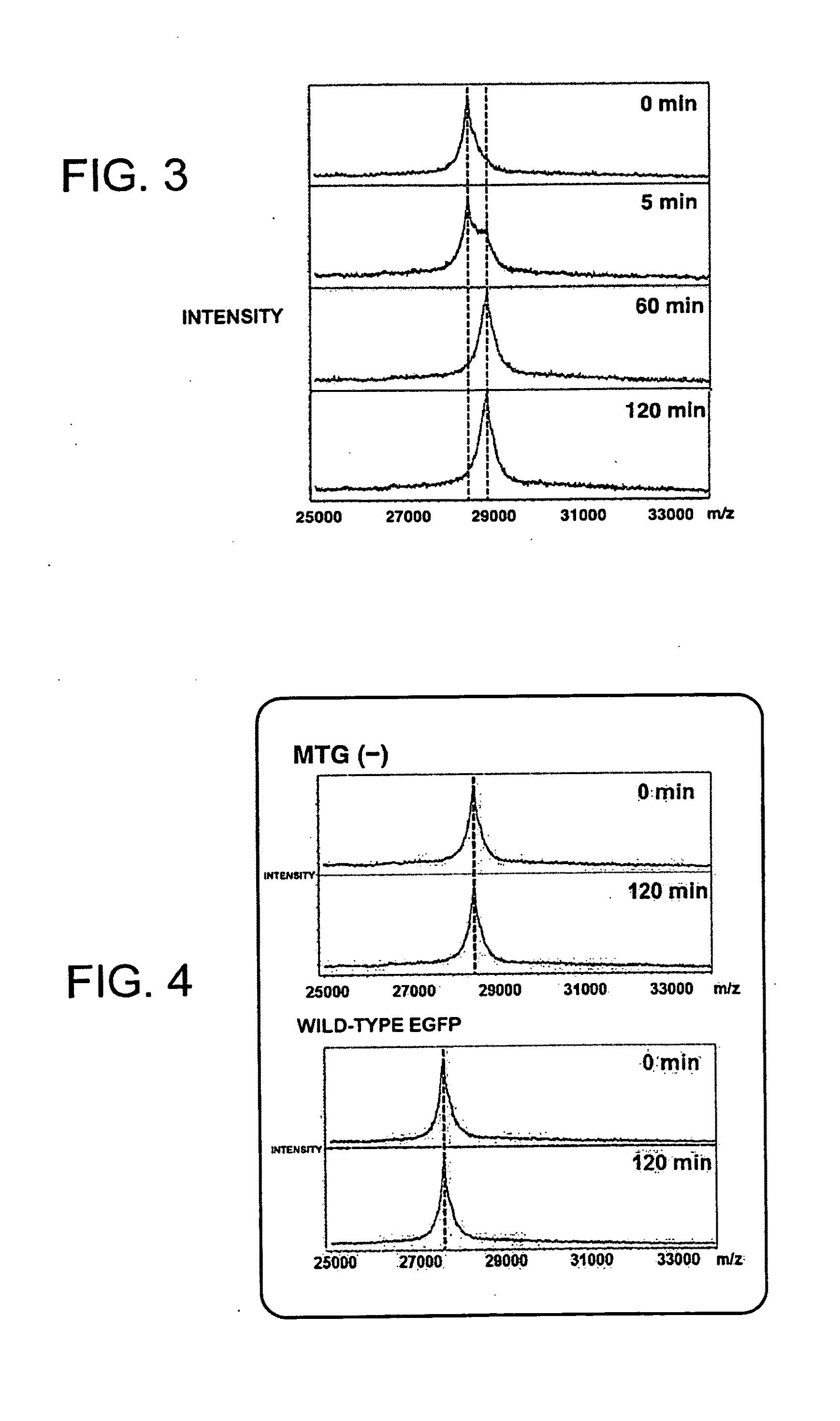 PROTEIN-POLYMER COMPLEX, TGase SUBSTRATE-CONTAINING POLYMER, TGase SUBSTRATE-CONTAINING MONOMER, METHOD FOR PRODUCING PROTEIN-POLYMER COMPLEX, AND METHOD FOR IMPROVING PROTEIN FUNCTION AT SOLID-LIQUID INTERFACE OR IN VICINITY OF SOLID-LIQUID INTERFACE