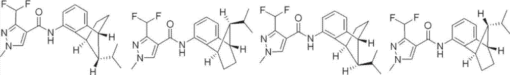 Bactericidal composition containing isopyrazam and pyraclostrobin and application thereof