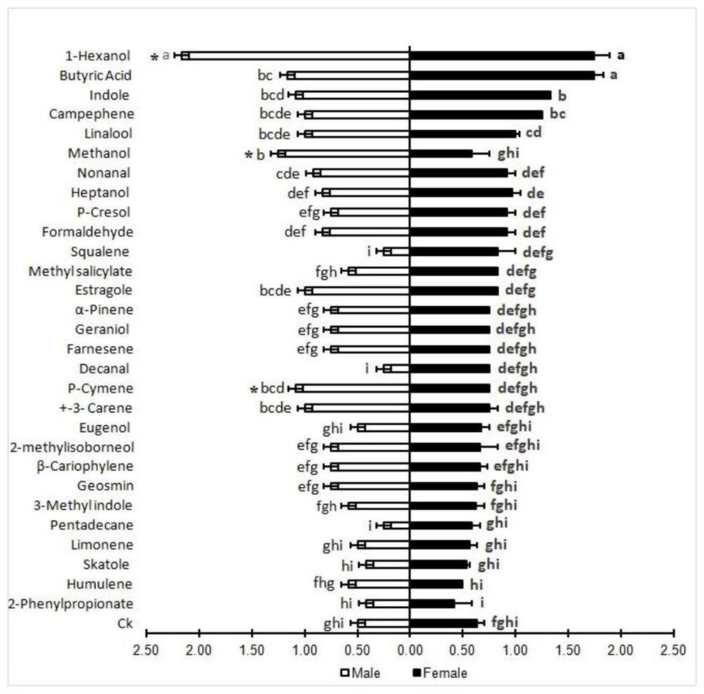 A kind of cow dung source attractant for preventing and controlling adults of black gill beetle