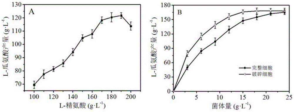 Method for producing L-citrulline with high efficiency