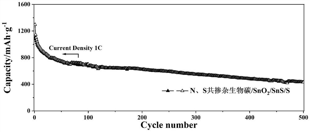 Nitrogen and sulfur co-doped biocarbon/SnO2/SnS/S composite material, preparation method and application