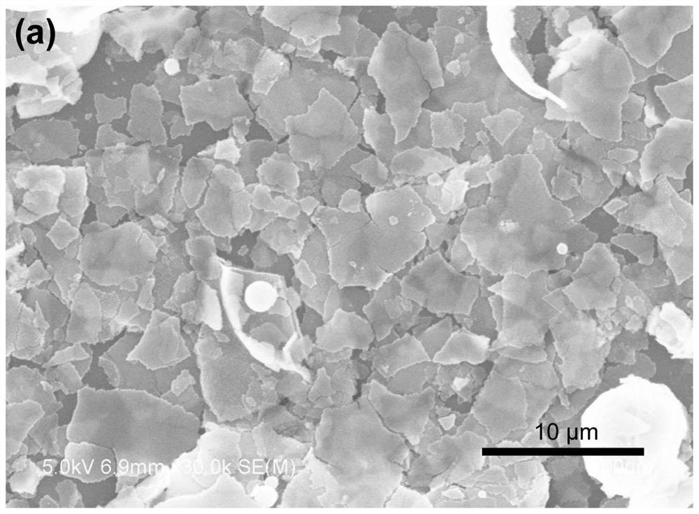 Flaky atomic-scale Pt/CeO2 catalyst with ultrahigh Pt loading capacity and preparation method of flaky atomic-scale Pt/CeO2 catalyst