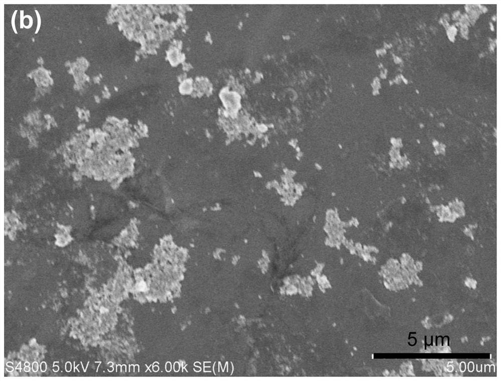 Flaky atomic-scale Pt/CeO2 catalyst with ultrahigh Pt loading capacity and preparation method of flaky atomic-scale Pt/CeO2 catalyst