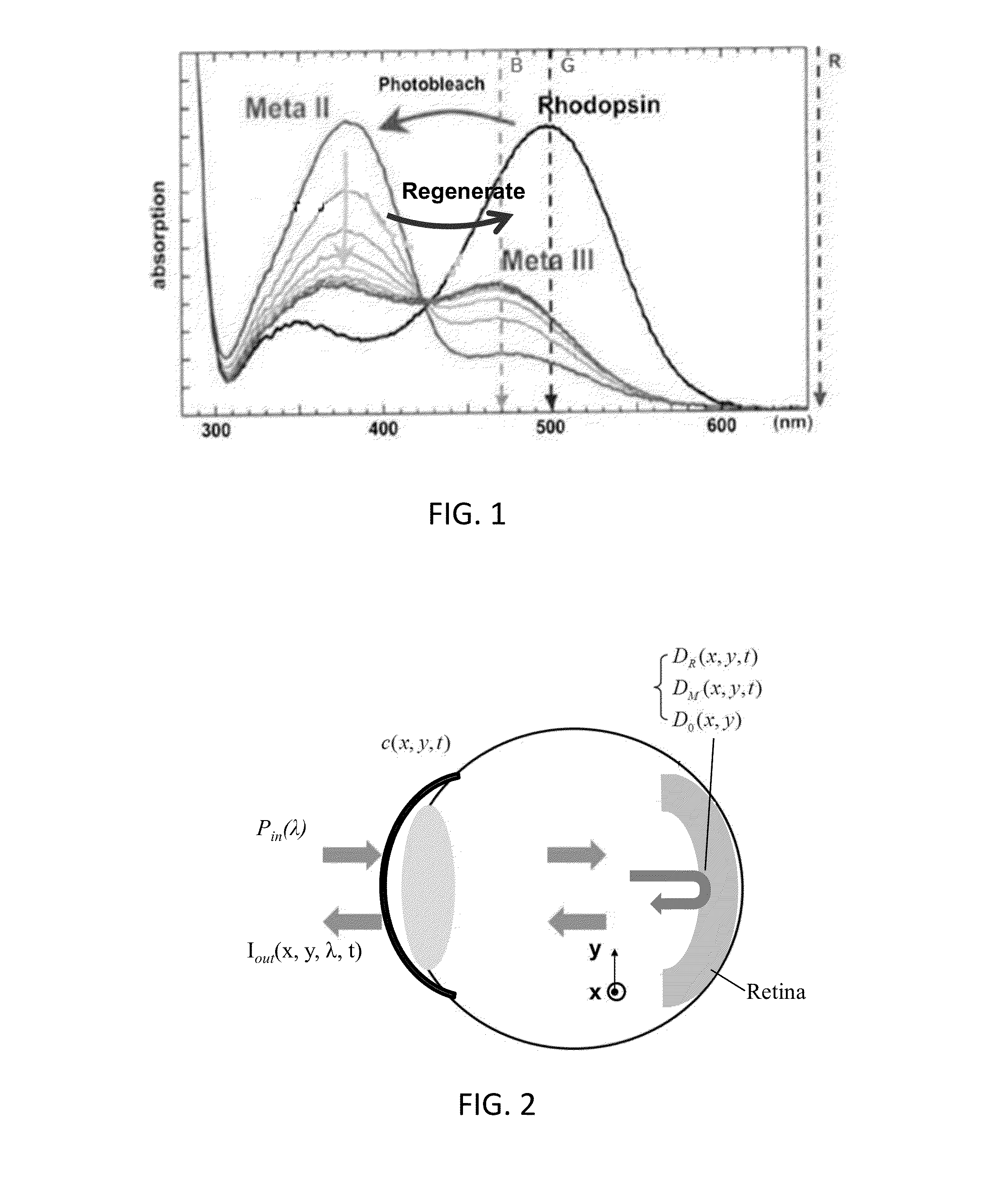 Systems and methods for noninvasive analysis of retinal health and function