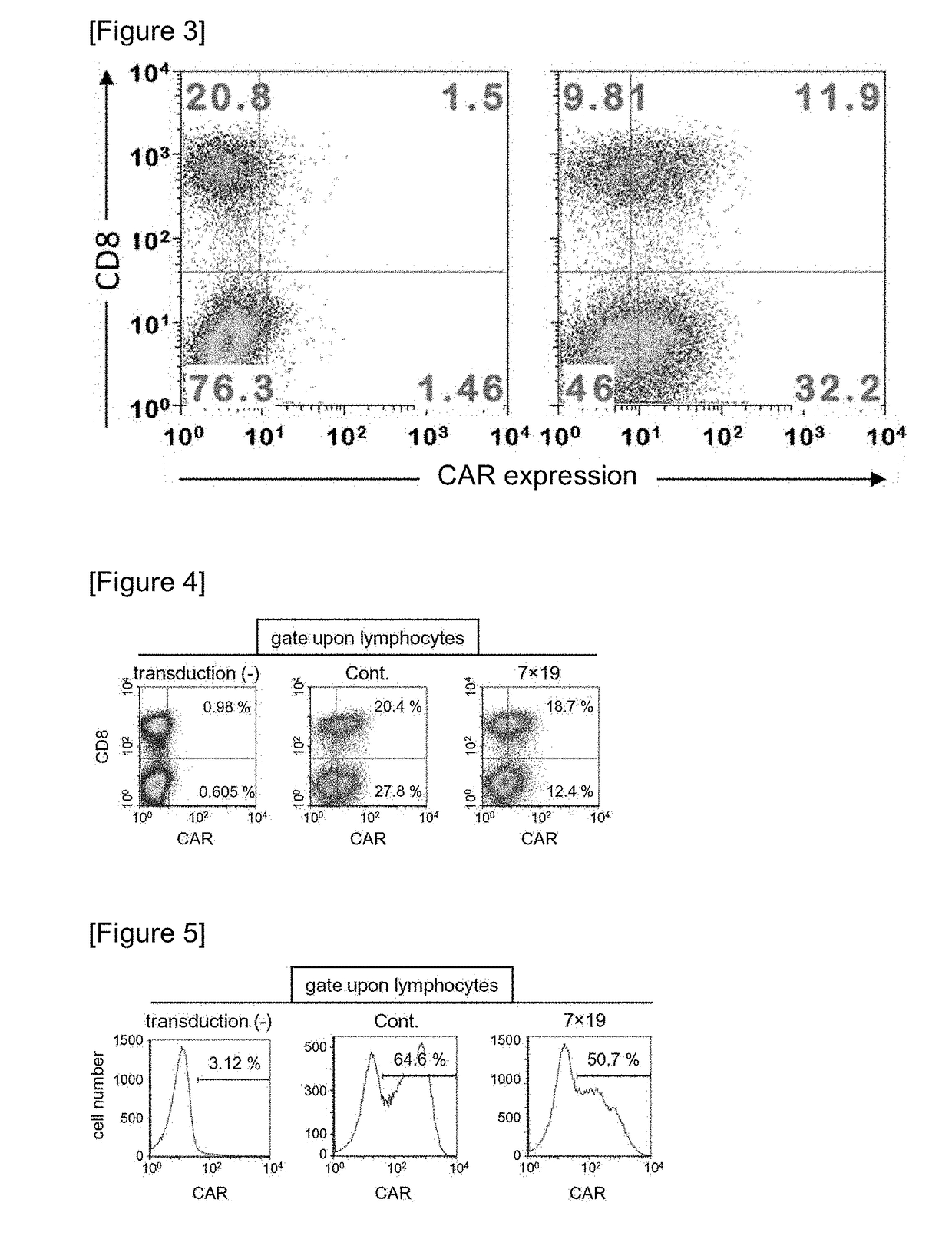 Car expression vector and car-expressing t cells